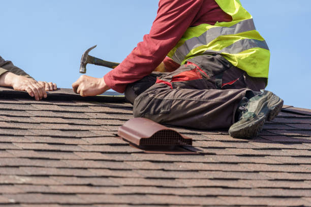 Best Roof Gutter Cleaning  in Fairmont, IL