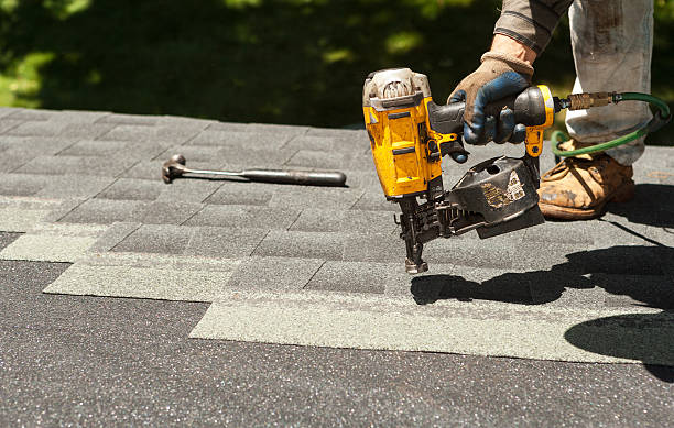 Roof Gutter Cleaning in Fairmont, IL